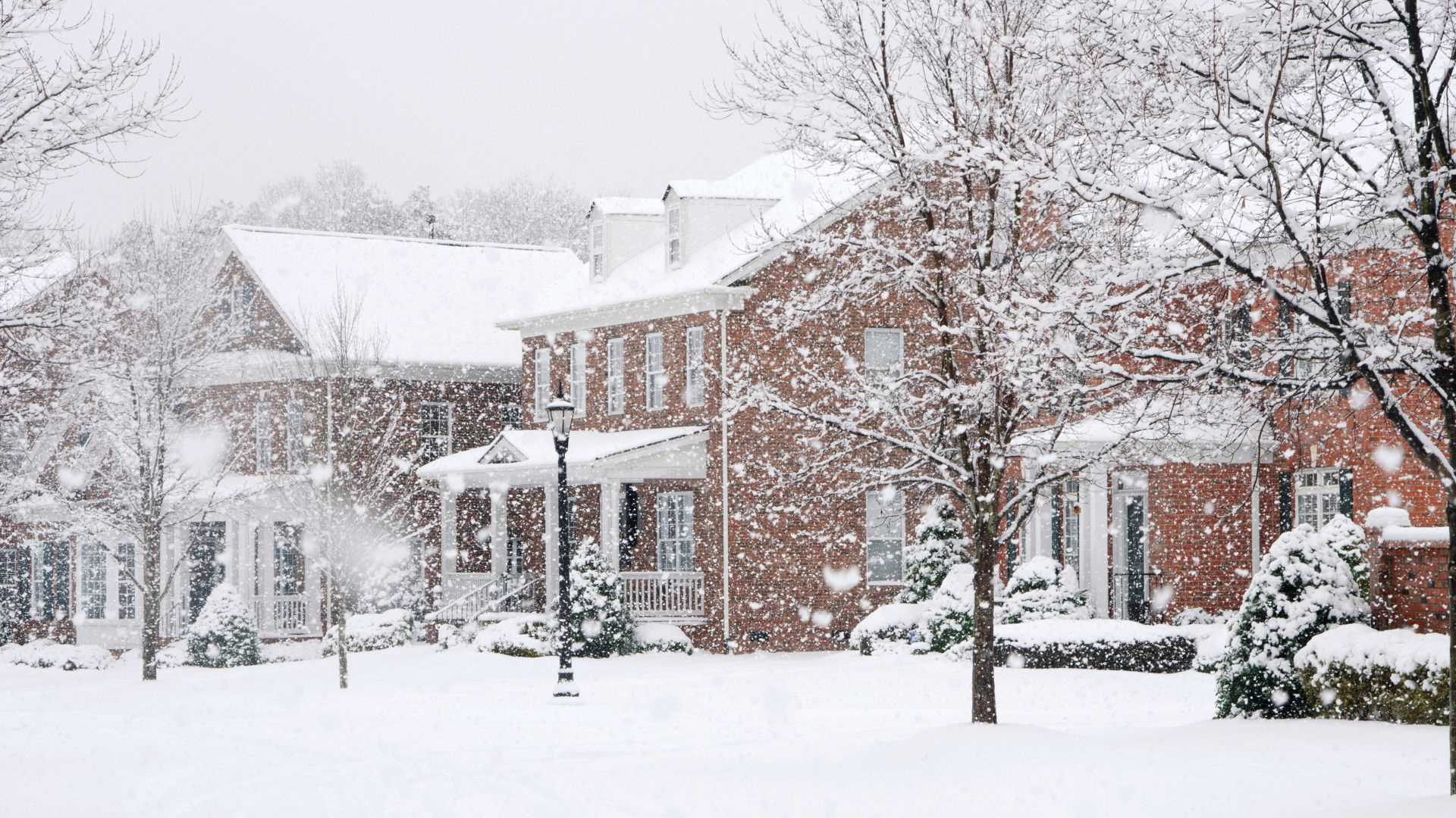 Winter in Polk County: Why Snowbirds and Year-Round Residents Both Love It Here